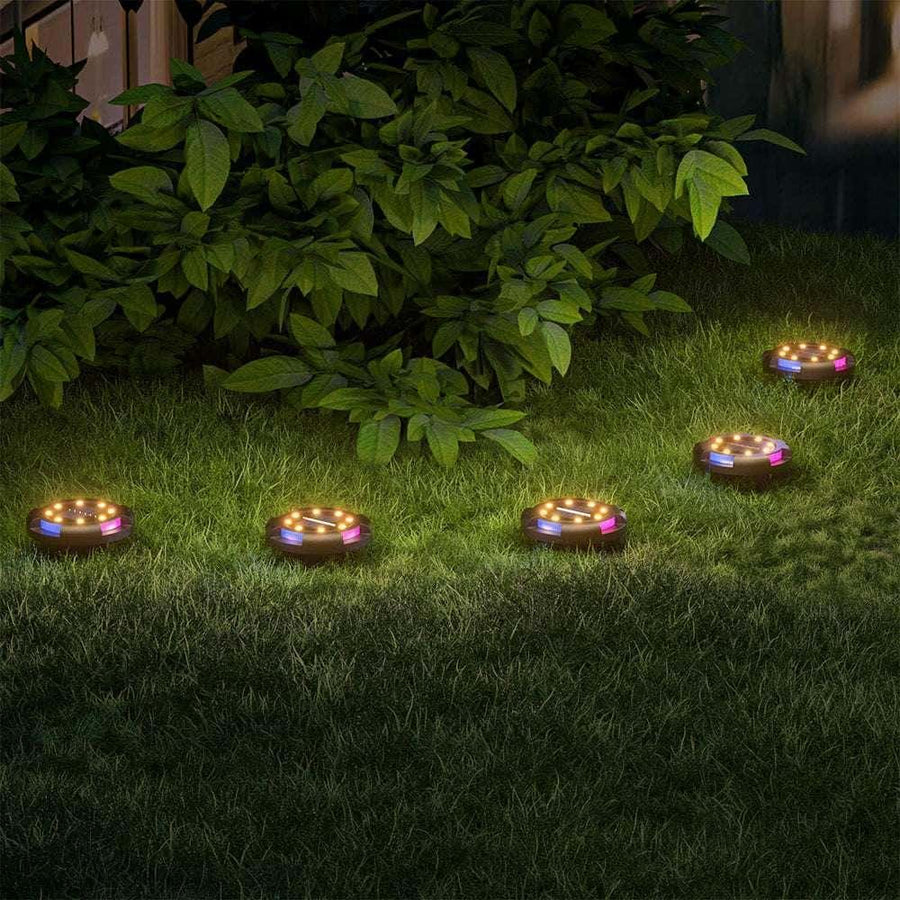 Ground lights in a garden