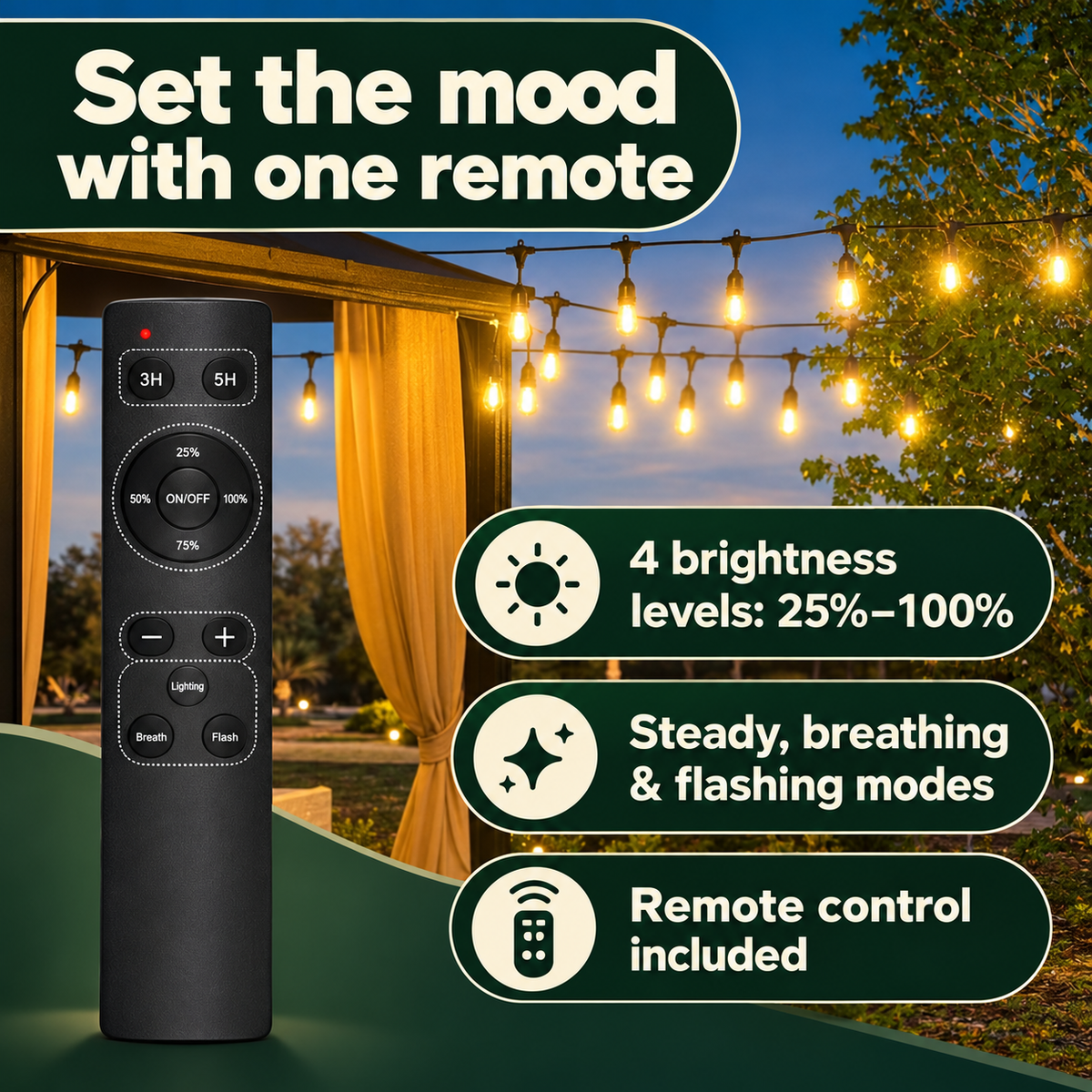 Remote brightness and timer